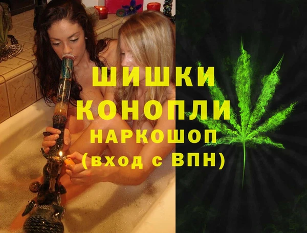 индика Алексеевка