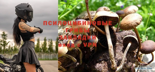 прущие крисы Алзамай