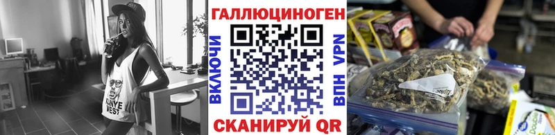 цена   Шумиха  Галлюциногенные грибы прущие грибы 