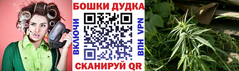 МАРИХУАНА индика Шумиха